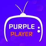 Icon Purple TV Pro APK 2.0.0 (Kilidi açıldı)