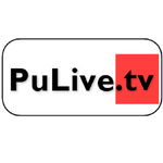 Icon Pulive TV APK 59 (Reklamsız)