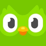 Icon Duolingo Plus APK Mod 5.75.3 (Kilidi açıldı)